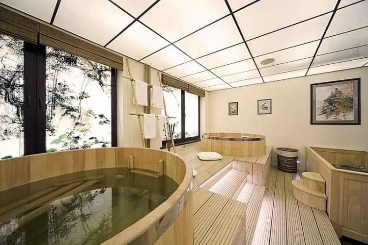 Hospitality interior sauna japan ofuro spa wellness 4 — Japanese Ofuro Spa